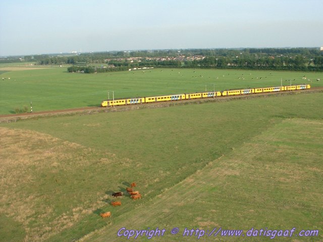 Copyright &copy DatisGaaf.com