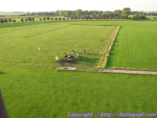 Copyright &copy DatisGaaf.com