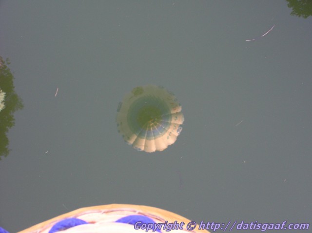 Copyright &copy DatisGaaf.com