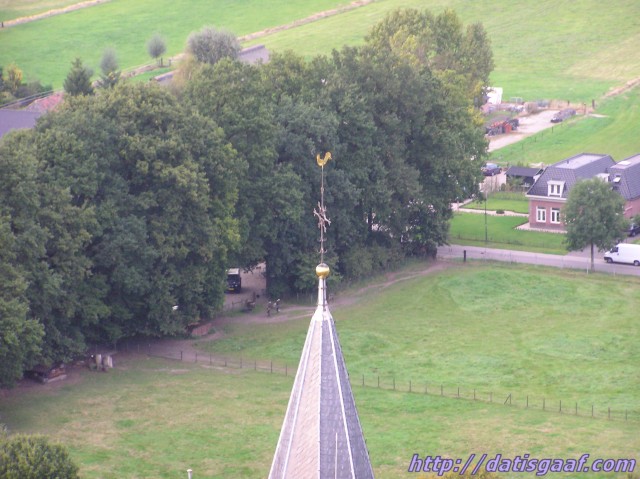 Copyright &copy DatisGaaf.com