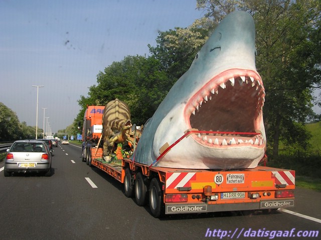 Copyright © DatisGaaf.com