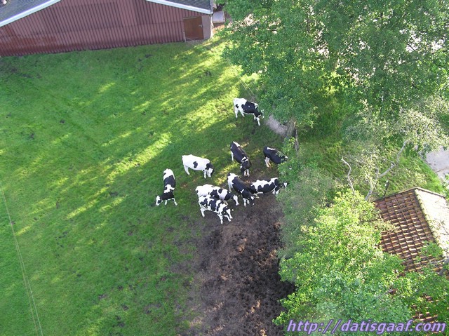 Copyright &copy DatisGaaf.com