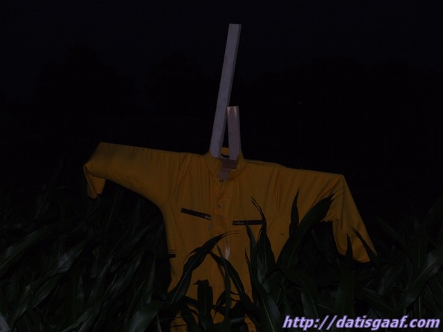 Copyright &copy DatisGaaf.com