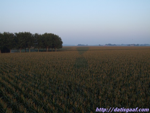 Copyright © DatisGaaf.com