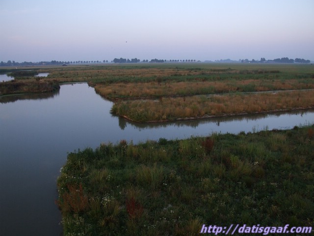 Copyright © DatisGaaf.com