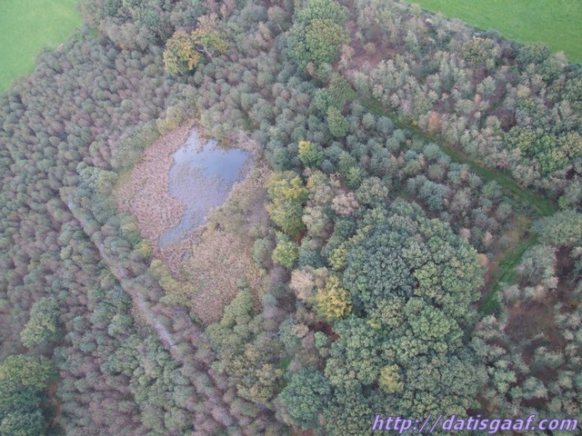 Copyright &copy DatisGaaf.com