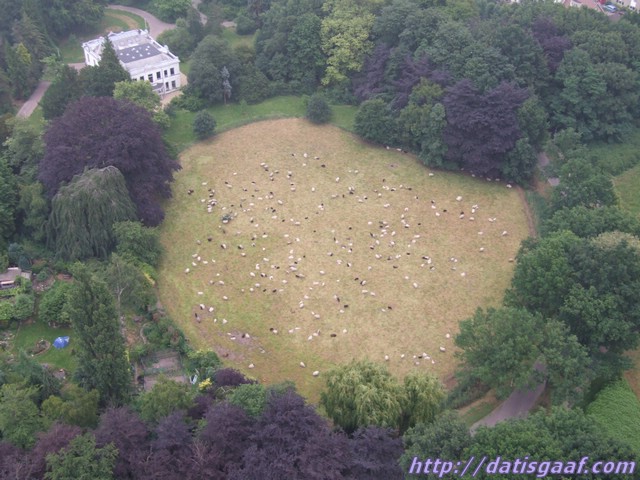 Copyright © DatisGaaf.com