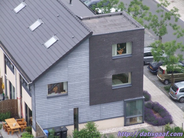 Copyright © DatisGaaf.com