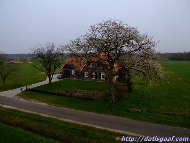 Copyright &copy DatisGaaf.com