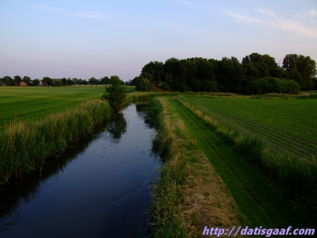 Copyright © DatisGaaf.com