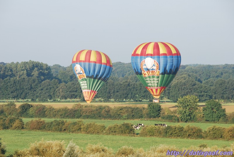 Copyright © DatisGaaf.com