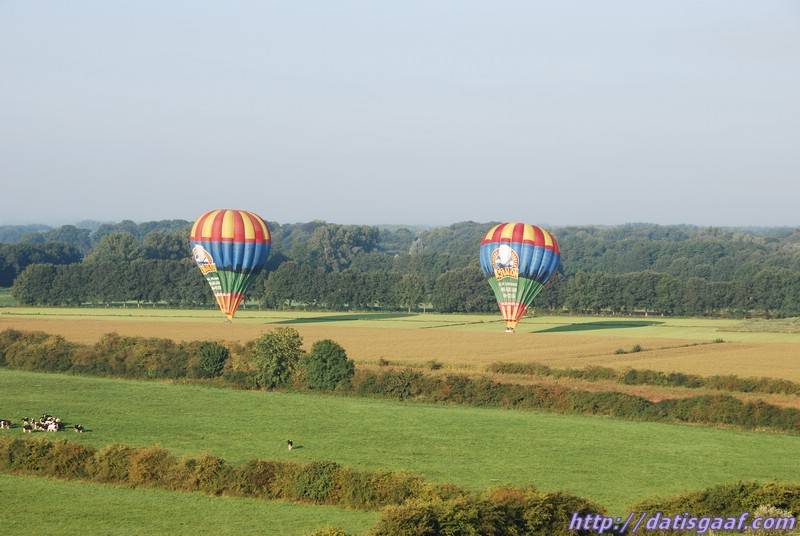 Copyright © DatisGaaf.com