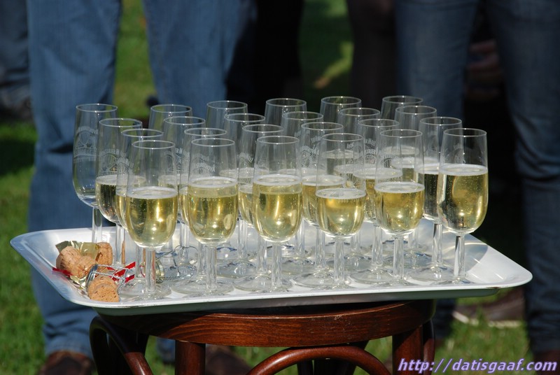 Copyright © DatisGaaf.com