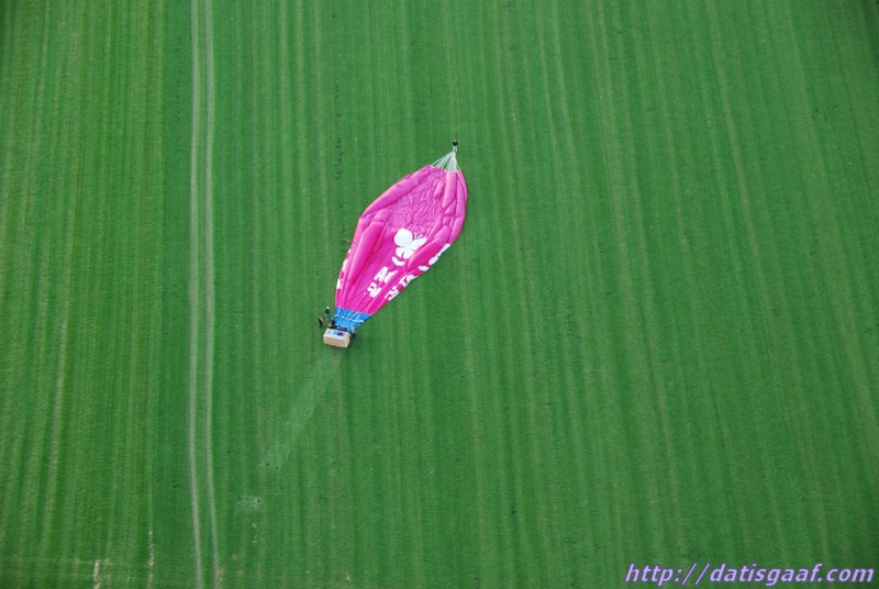 Copyright © DatisGaaf.com