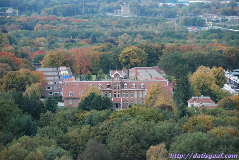 Copyright &copy DatisGaaf.com