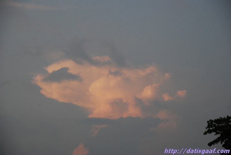 Copyright © DatisGaaf.com