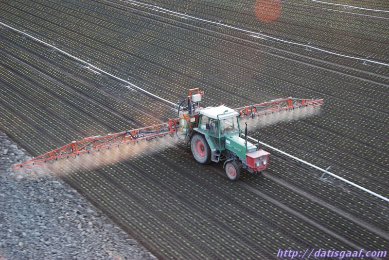 Copyright &copy DatisGaaf.com