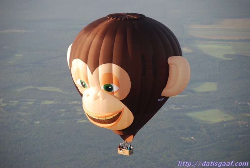 Copyright &copy DatisGaaf.com