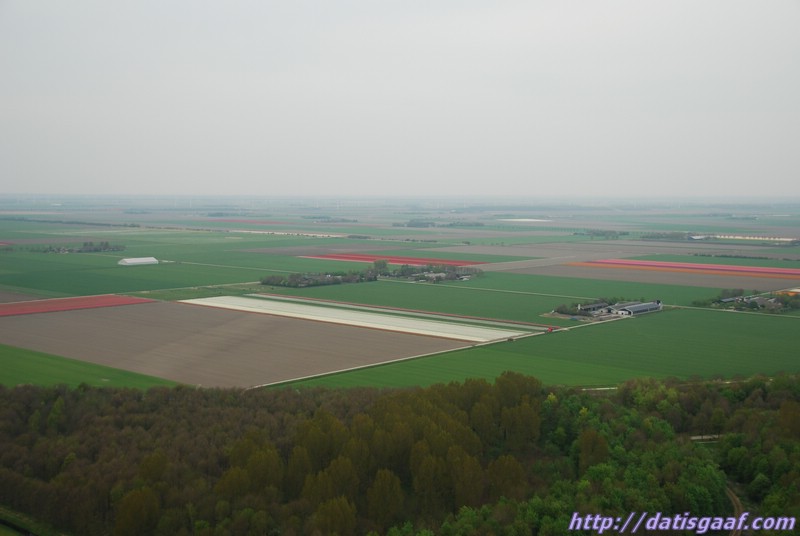 Copyright © DatisGaaf.com