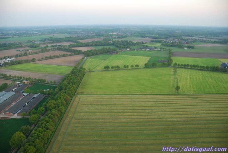 Copyright &copy DatisGaaf.com