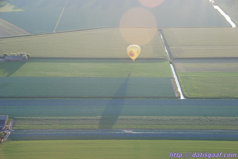 Copyright &copy DatisGaaf.com