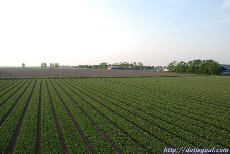 Copyright © DatisGaaf.com