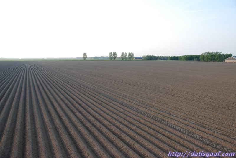 Copyright © DatisGaaf.com