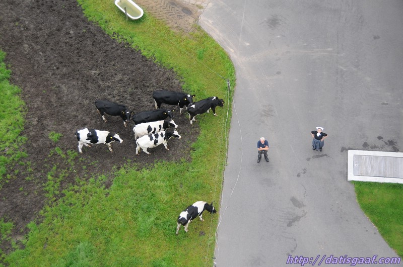 Copyright © DatisGaaf.com