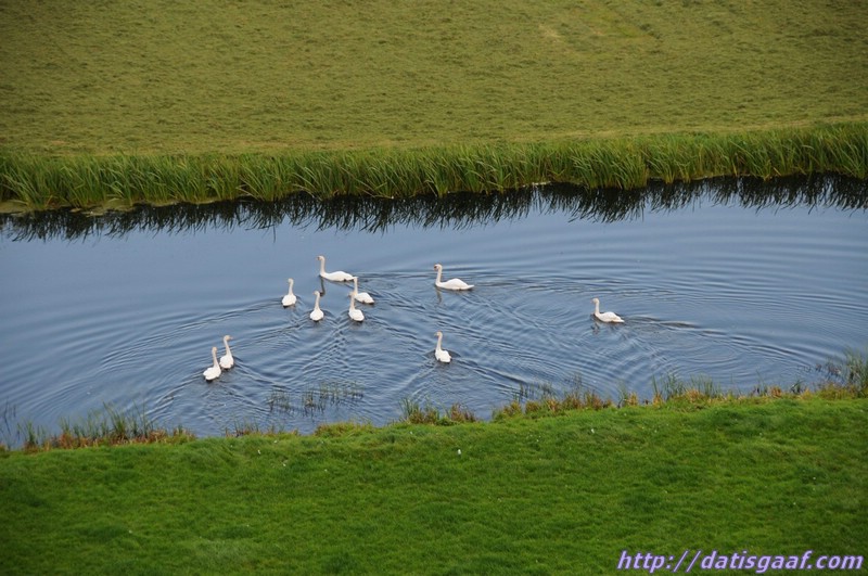 Copyright &copy DatisGaaf.com