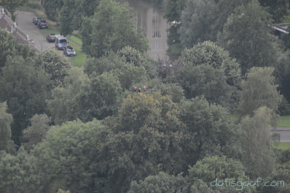 Copyright © DatisGaaf.com