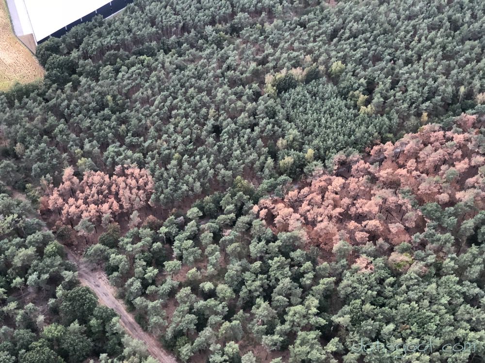 Copyright © DatisGaaf.com