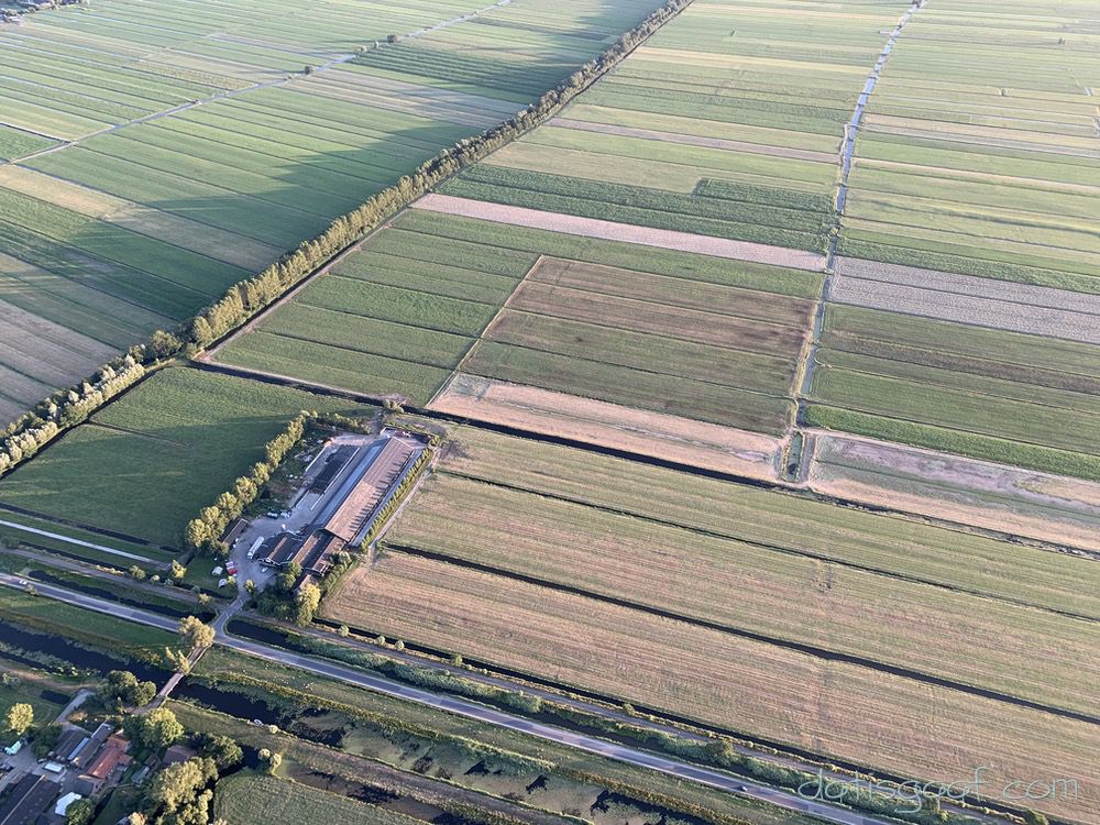 Copyright &copy DatisGaaf.com